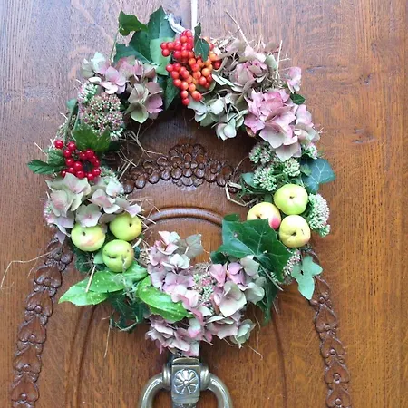 Sylvia In Eupen, Terrasse , Garten & Naehe Zum Hohen Venn