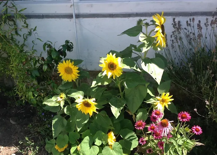 Lejlighed Sylvia In Eupen, Terrasse , Garten & Naehe Zum Hohen Venn