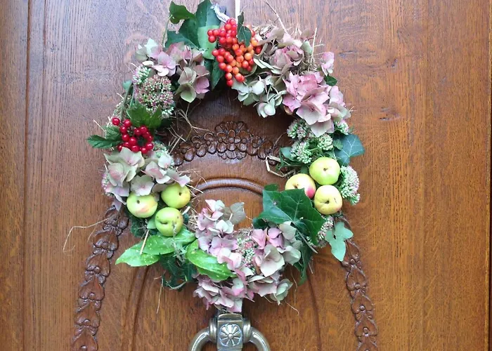 Sylvia In Eupen, Terrasse , Garten & Naehe Zum Hohen Venn